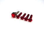 HIRO SEIKO Futaba 4PX/7PX Swarovski Crystal Mounted Screws [Red] 69918